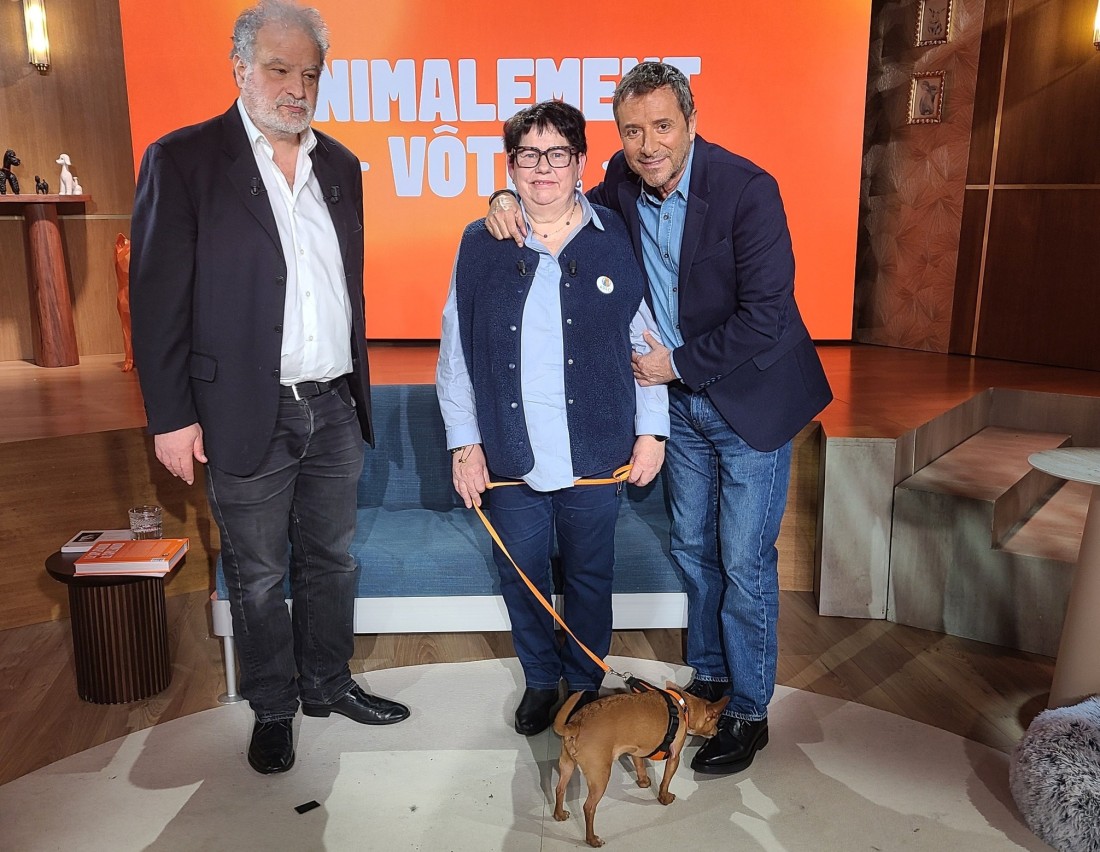 on-a-la-date-de-diffusion