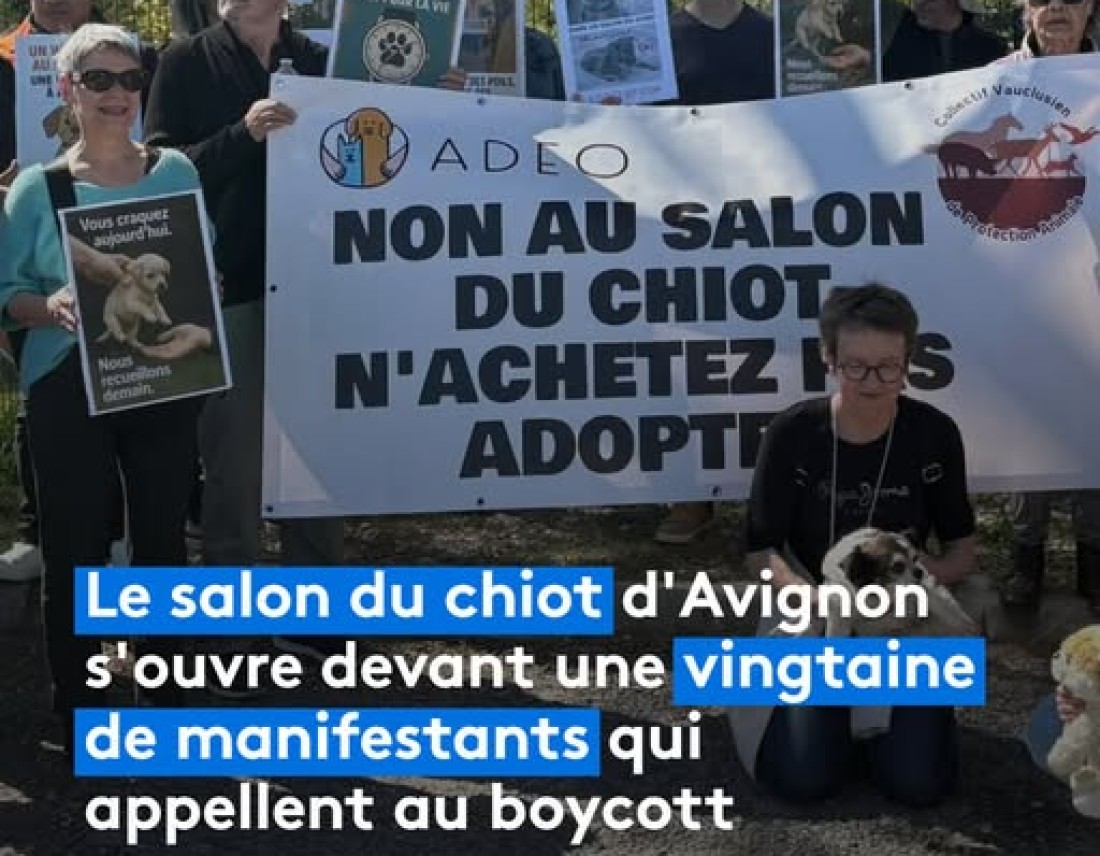 mobilisation-d#039;adeo-contre-le-salon-du-chiot
