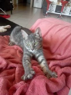 nina