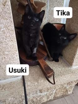 tika-et-usuki