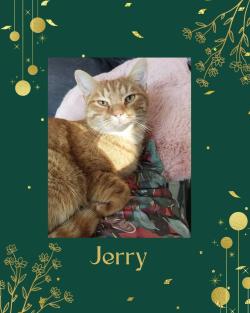jerry