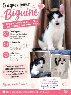 biguine