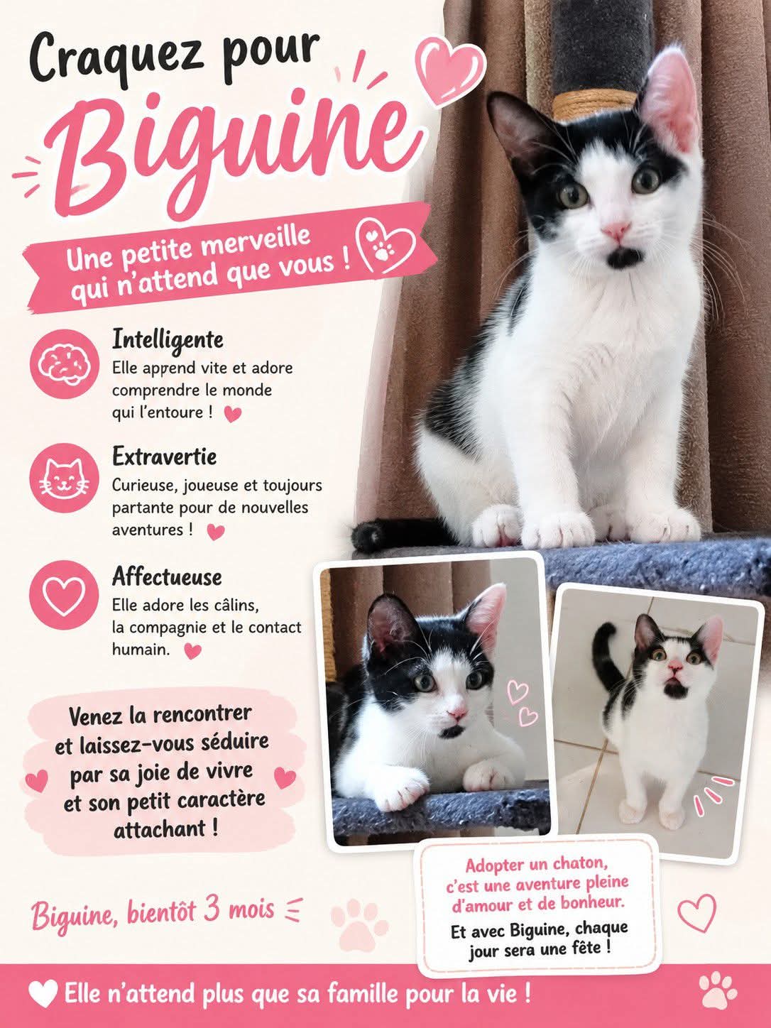 biguine