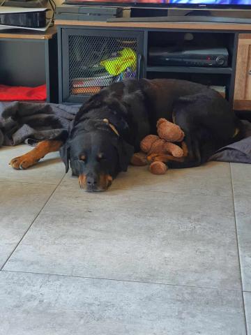 tyson