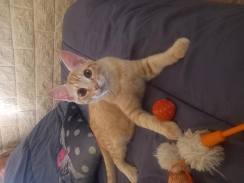 yuki