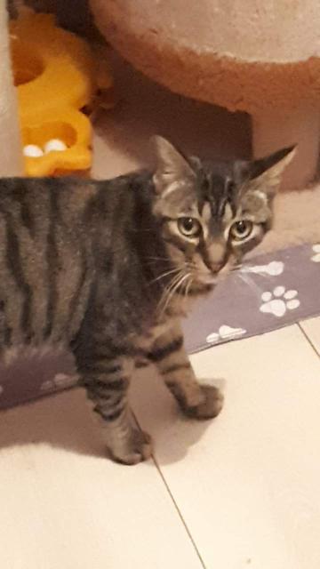 billy